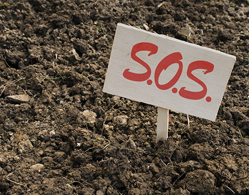 phyre-SOS-soil